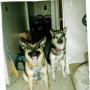 Nancy Schaefer Photo 23