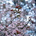 Don Summers Photo 8