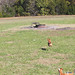 Sandy Erwin Photo 11