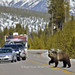 Daryl Cross Photo 18