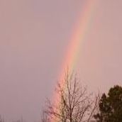 Amy Littell Photo 9