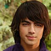Shane Gray Photo 26