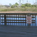 Wade Ward Photo 14