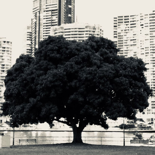 Tim Finch Photo 35