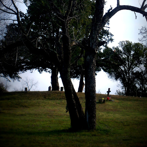 Jessica Hallett Photo 5