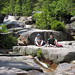 Gary Munson Photo 29