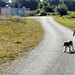 Nanette Peters Photo 11