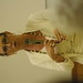 Terrie Brown Photo 14