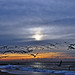 Christopher Rodgers Photo 40