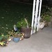 Kevin Plant Photo 15