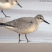 Michael Topp Photo 22