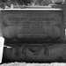 Robert Beauregard Photo 28