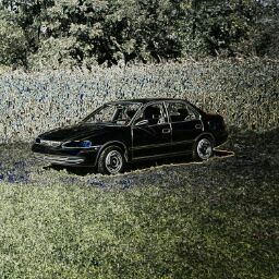John Eller Photo 25