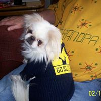 Joy Vandyke Photo 4