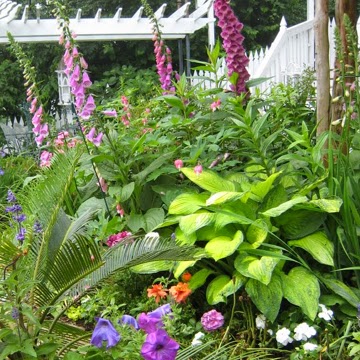 Sue Chamberlain Photo 34