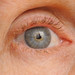 Janet Lash Photo 8