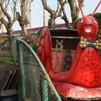 Joy Land Photo 19