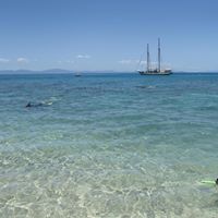 Diane Abrahams Photo 21