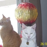 Nancy Heiser Photo 13