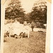 Priscilla Goodman Photo 12