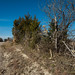 Joe Ellis Photo 30