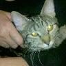 Lisa Rhoads Photo 14
