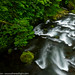 Douglas Tanner Photo 22