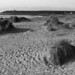 Juan Salinas Photo 18