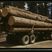 Edward Forrest Photo 8
