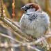 Keith Hedges Photo 22