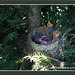 Warren Robins Photo 12