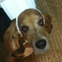 Lisa Souder Photo 6