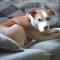 Nancy Crouse Photo 26