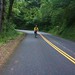 Bryan Mcnamee Photo 10