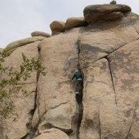 Richard Weiler Photo 10