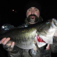 Paul Everett Photo 44