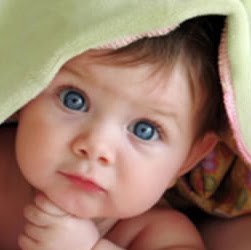 Harminder Chahal Photo 3