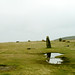 Mitchell Stone Photo 14
