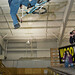 Todd Anderson Photo 15