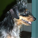 Darrel Foster Photo 12