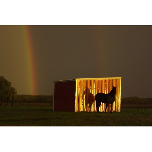 Barbara Roark Photo 35