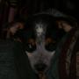 Jill Mummert Photo 1