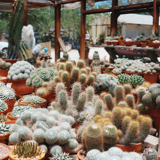 Rachel Levin Photo 30