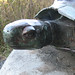 Mark Stevenson Photo 13
