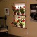 Andrew Olson Photo 51