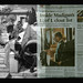 Michael Madigan Photo 31