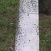 Scott Cornelius Photo 8