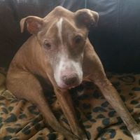 Nancy Aylward Photo 14