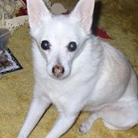 Eileen Johnson Photo 36