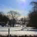 Freddy Hill Photo 11